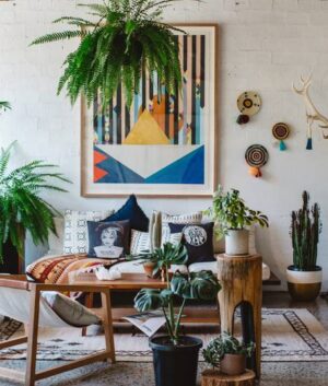 Home & Decors